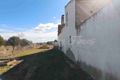 Landejendom i Yecla, Murcia, Yecla - € 195.000 | Ref: SF0556 - foto 13